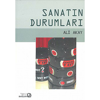 Sanatın Durumları Ali Akay