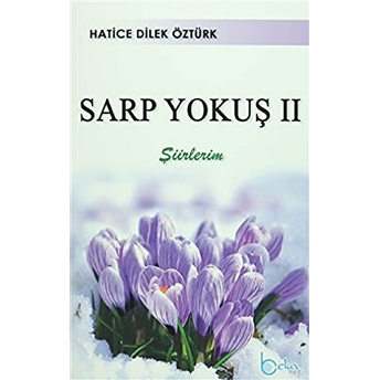 Sarp Yokuş 2-Hatice Dilek Öztürk