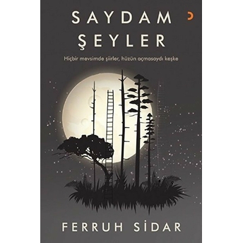 Saydam Şeyler - Ferruh Sidar