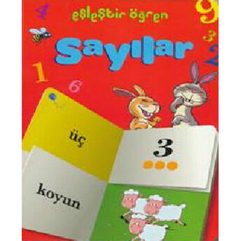 Sayılar / Eşleştir Öğren Kolektif