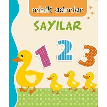 Sayılar-Minik Adımlar Kolektif