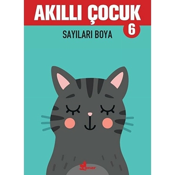 Sayıları Boya - Akıllı Çocuk 6 Kolektif