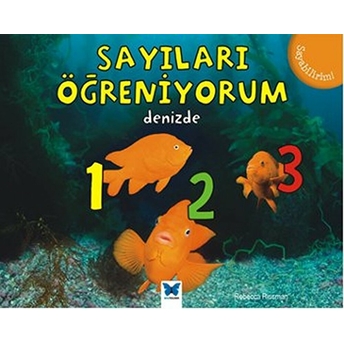 Sayıları Öğreniyorum - Denizde / Sayabilirim Rebecca Rissman