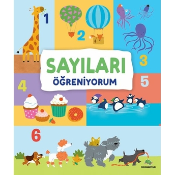 Sayıları Öğreniyorum Kollektif