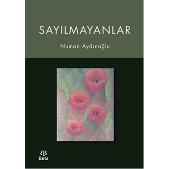 Sayılmayanlar-Numan Aydınoğlu