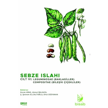 Sebze Islahı Cilt Vı - Kazım Abak