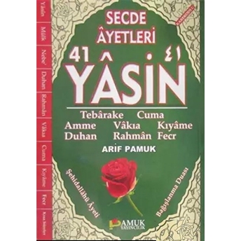 Secde Ayetleri 41 Yasin(Yasin-251) Arif Pamuk