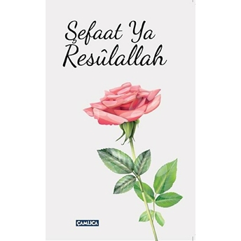 Şefaat Ya Resulallah (2 Kitap Takım) - Ahmed Cevdet Paşa