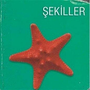 Şekiller Kolektif