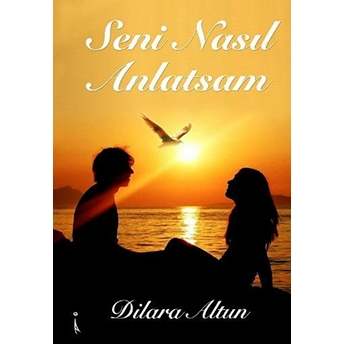 Seni Nasıl Anlatsam