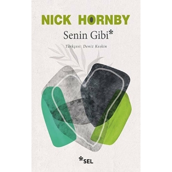 Senin Gibi Nick Hornby