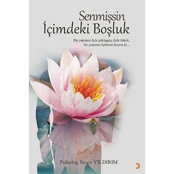 Senmişsin Içimdeki Boşluk Sezen Yıldırım