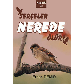 Serçeler Nerede Ölür? Erhan Demir