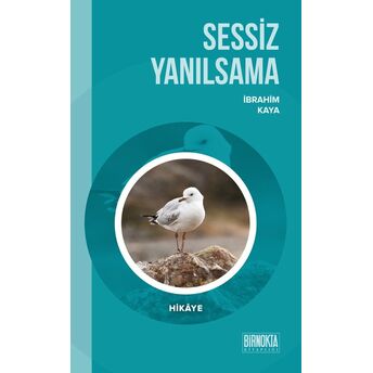 Sessiz Yanılsama Ibrahim Kaya