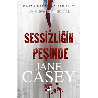 Sessizliğin Peşinde Jane Casey