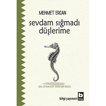 Sevdam Sığmadı Düşlerime Mehmet Ercan