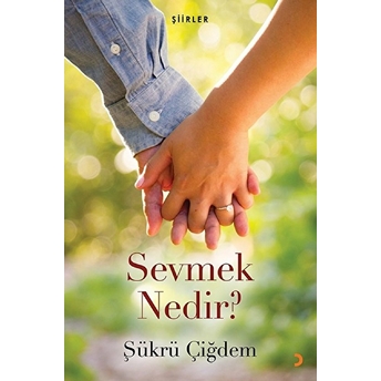 Sevmek Nedir? - Şükrü Çiğdem