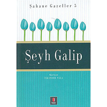 Şeyh Galip Şahane Gazeller 5 Ciltli Iskender Pala