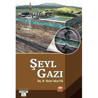 Şeyl Gazı