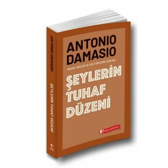 Şeylerin Tuhaf Düzeni Antonio Damasio