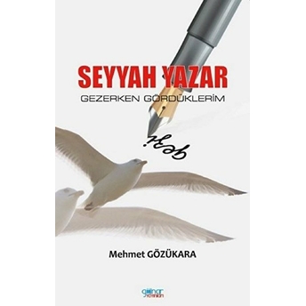 Seyyah Yazar / Gezerken Gördüklerim - Mehmet Gözükara