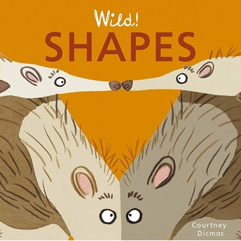 Shapes Ciltli Courtney Dicmas