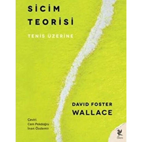 Sicim Teorisi David Foster Wallace