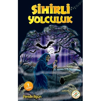 Sihirli Yolculuk Feride Ilgün