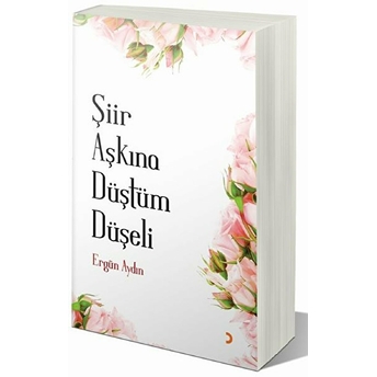 Şiir Aşkına Düştüm Düşeli Ergün Aydın