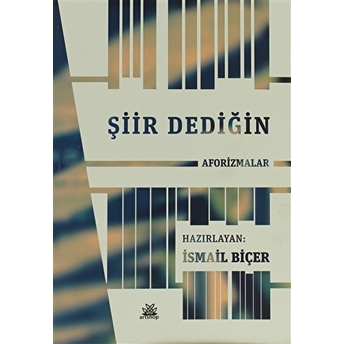 Şiir Dediğin Aforizmalar