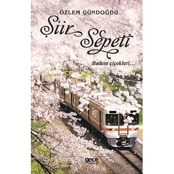 Şiir Sepeti 2  - Özlem Gündoğdu