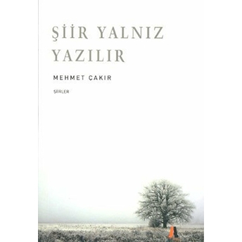 Şiir Yalnız Yazılır