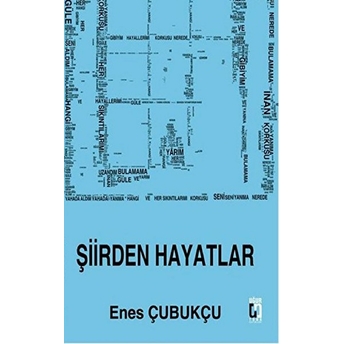 Şiirden Hayatlar Enes Çubukçu