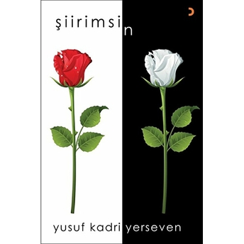 Şiirimsin - Yusuf Kadri Yerseven