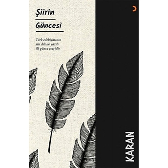 Şiirin Güncesi