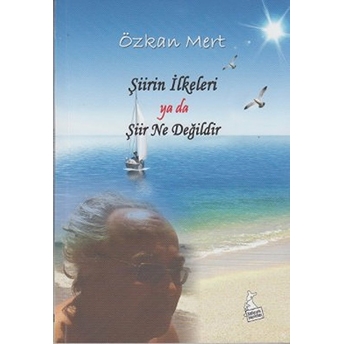 Şiirin Ilkeleri Ya Da Şiir Ne Değildir Özkan Mert