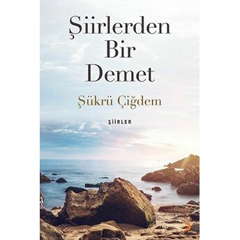 Şiirlerden Bir Demet - Şükrü Çiğdem