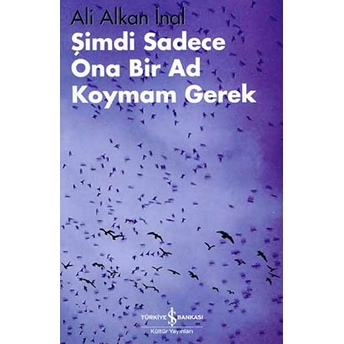 Şimdi Sadece Ona Bir Ad Koymam Gerek Ali Alkan Inal