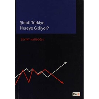 Şimdi Türkiye Nereye Gidiyor