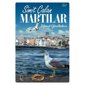 Simit Çalan Martılar-Hikmet Güzelkokar