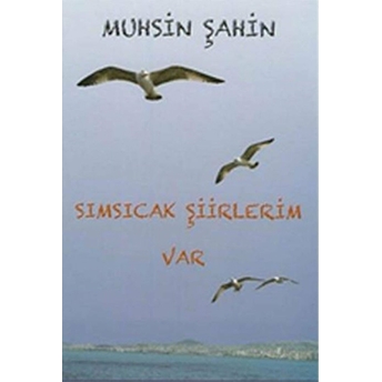 Sımsıcak Şiirlerim Var Muhsin Şahin