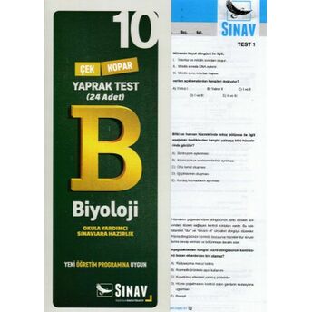 Sınav 10. Sınıf Biyoloji Çek Kopar Yaprak Test (Yeni) Kolektif