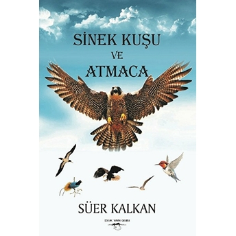 Sinek Kuşu Ve Atmaca