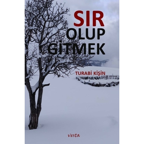 Sır Olup Gitmek Turabi Kişin