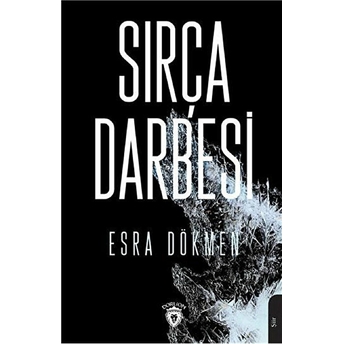 Sırça Darbesi Esra Dökmen