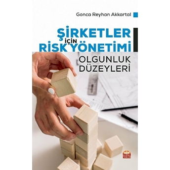 Şirketler Için Risk Yönetimi - Olgunluk Düzeyleri - Gonca Reyhan Akkartal