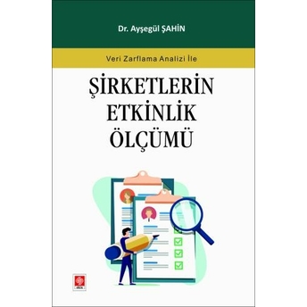 Şirketlerin Etkinlik Ölçümü Ayşegül Şahin