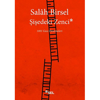 Şişedeki Zenci Salâh Birsel