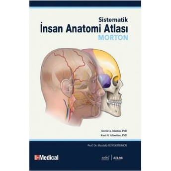 Sistematik Insan Anatomi Atlası Mustafa Büyükmumcu