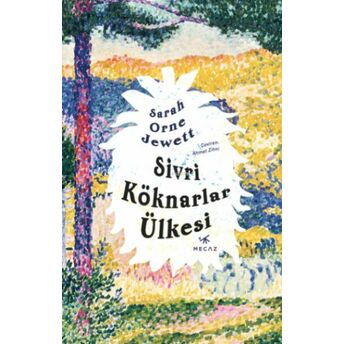 Sivri Köknarlar Ülkesi Sarah Orne Jewett